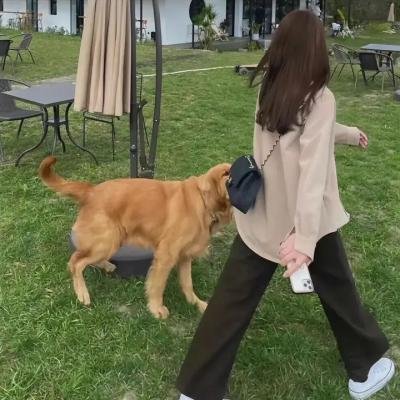 小把戏